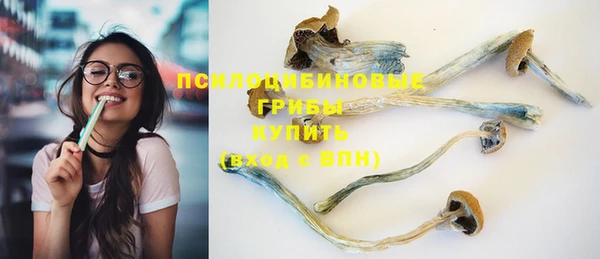 прущие грибы Богданович