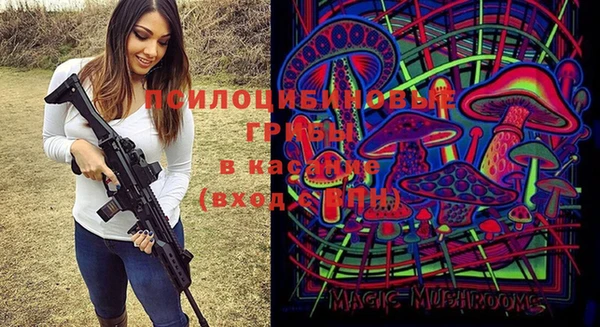 прущие грибы Богданович