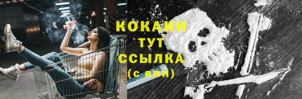 прущие грибы Богданович
