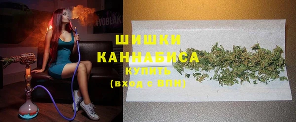 дмт Богородск
