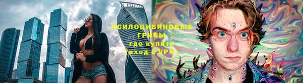 прущие грибы Богданович
