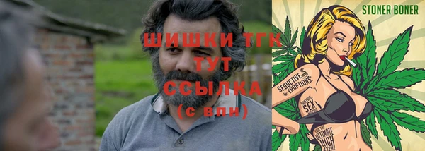 дмт Богородск